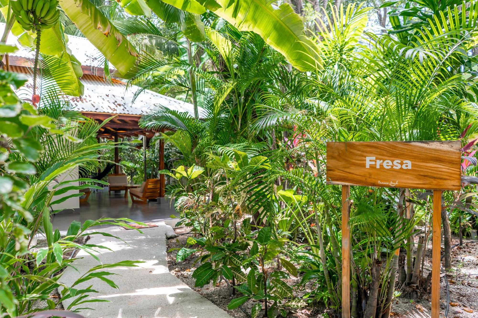 Banana Beach Bungalows Playa Santa Teresa  Esterno foto
